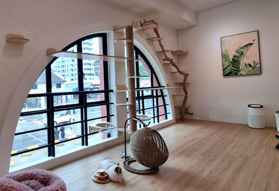 catification-window-arch-little-people-woodworks