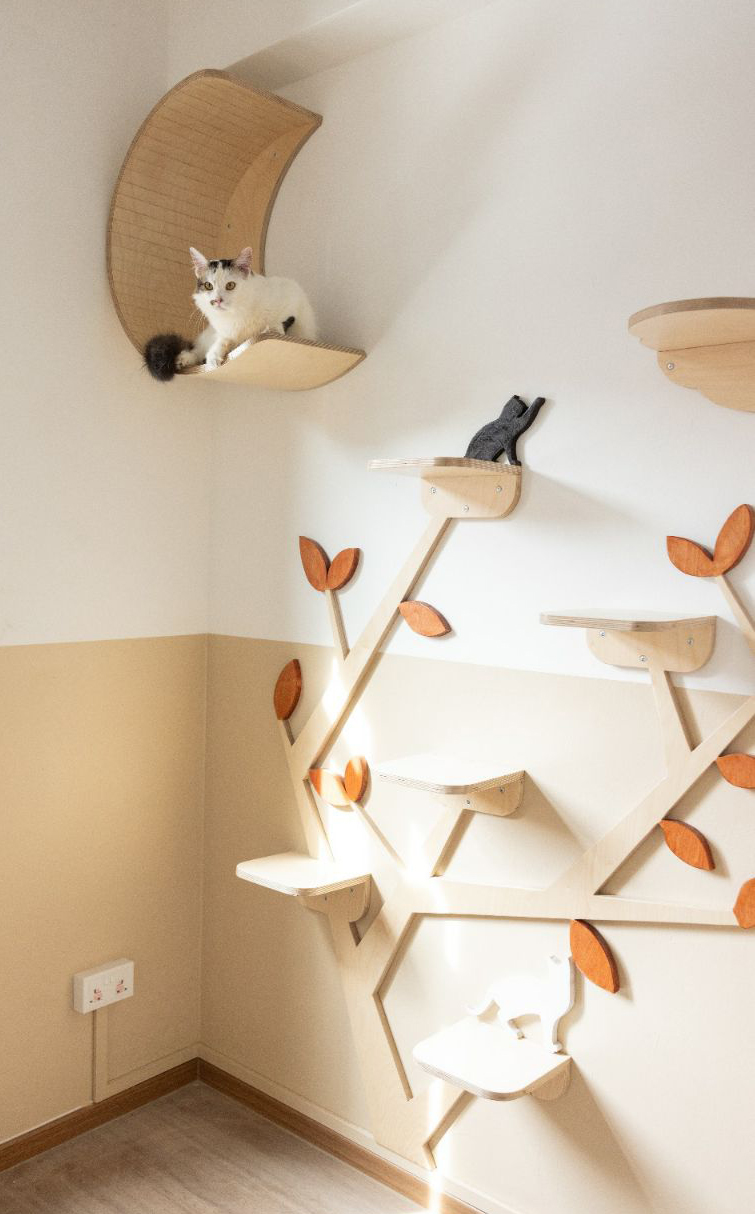 tree-moon-perch-catification