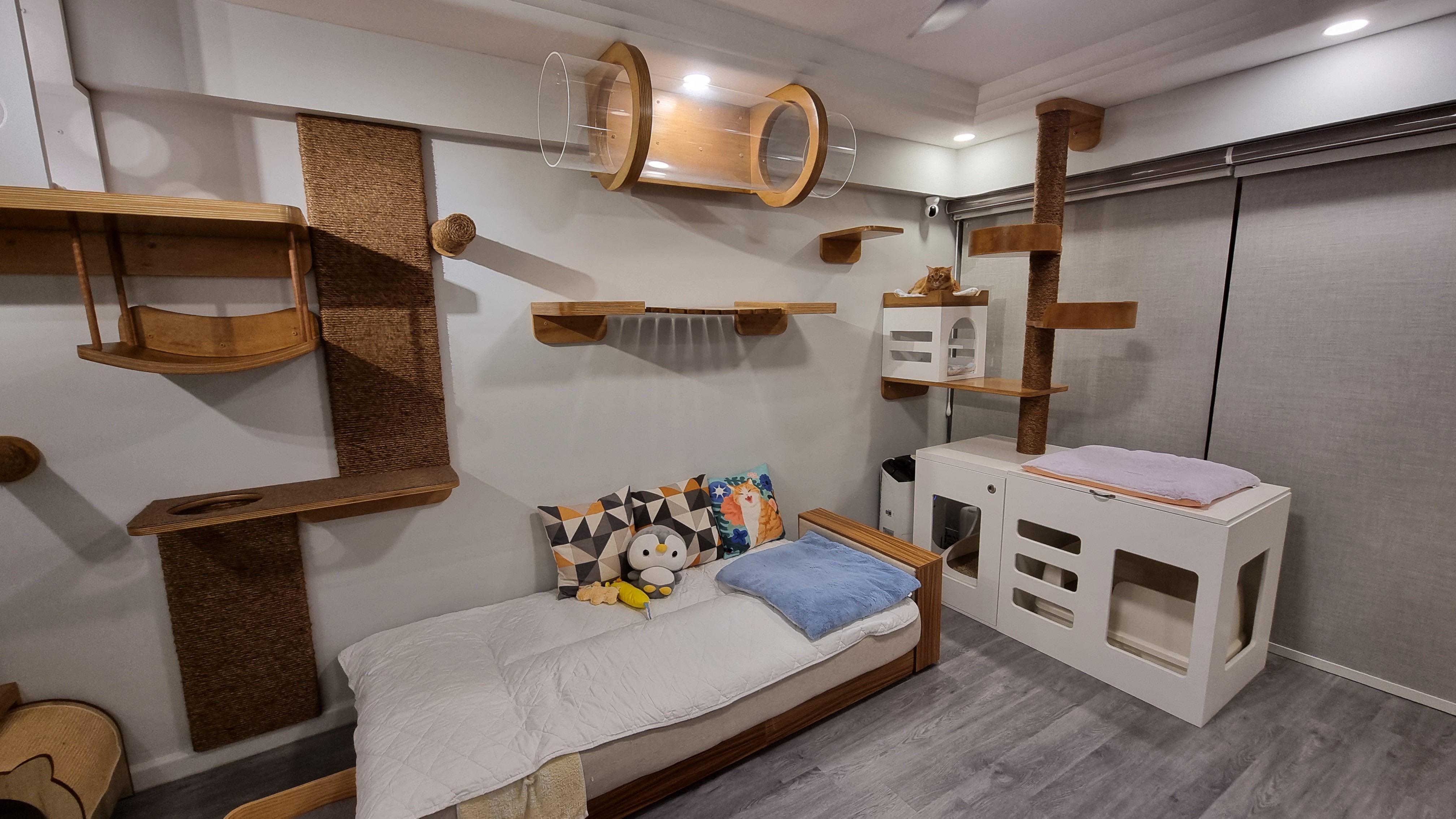 cat-room-playground-with-litter-box-cabinet-and-tunnel