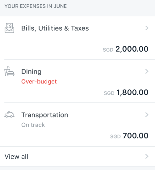 DBS NAV Planner - expenses