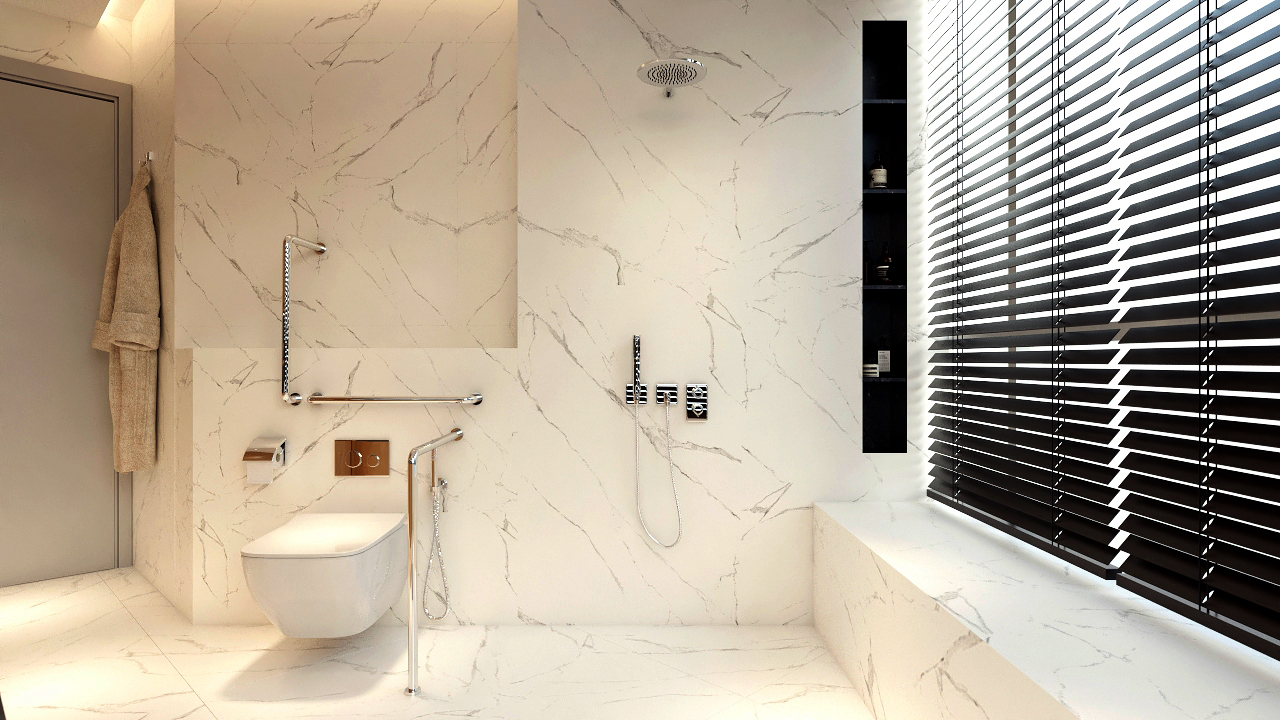 Elderly washroom grab bars and seating