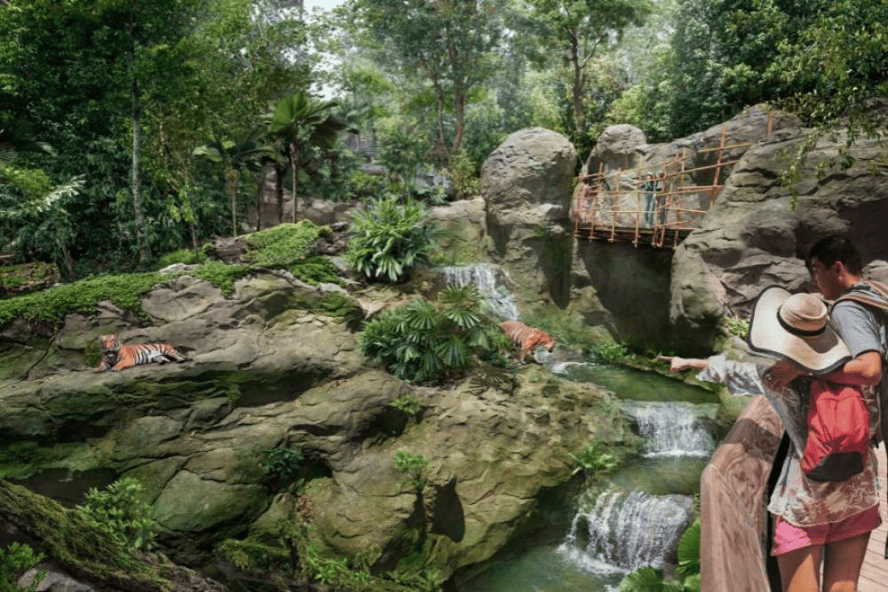 Rock Cascade with tourist in Mandai Rainforest Wild