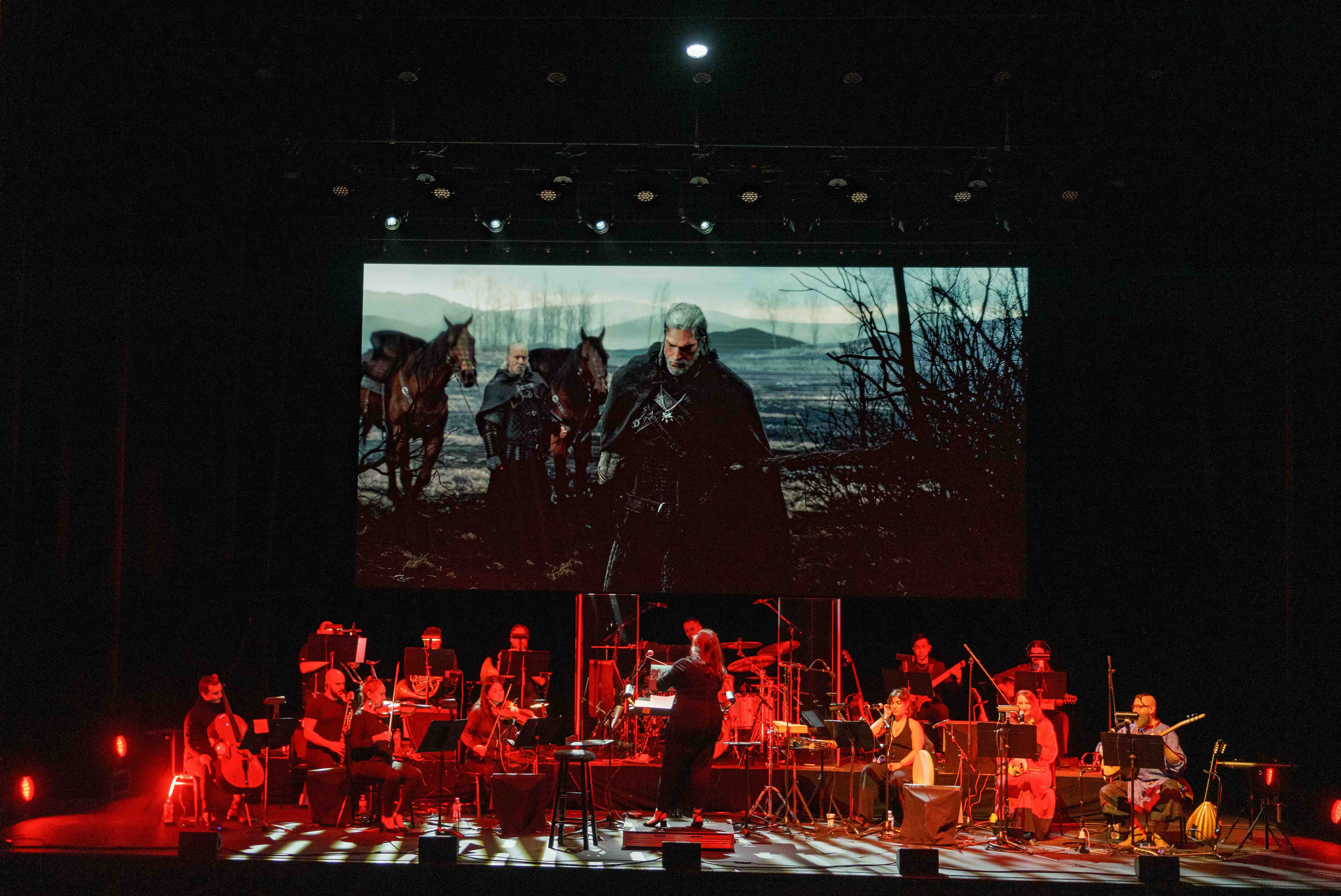 the witcher in concert