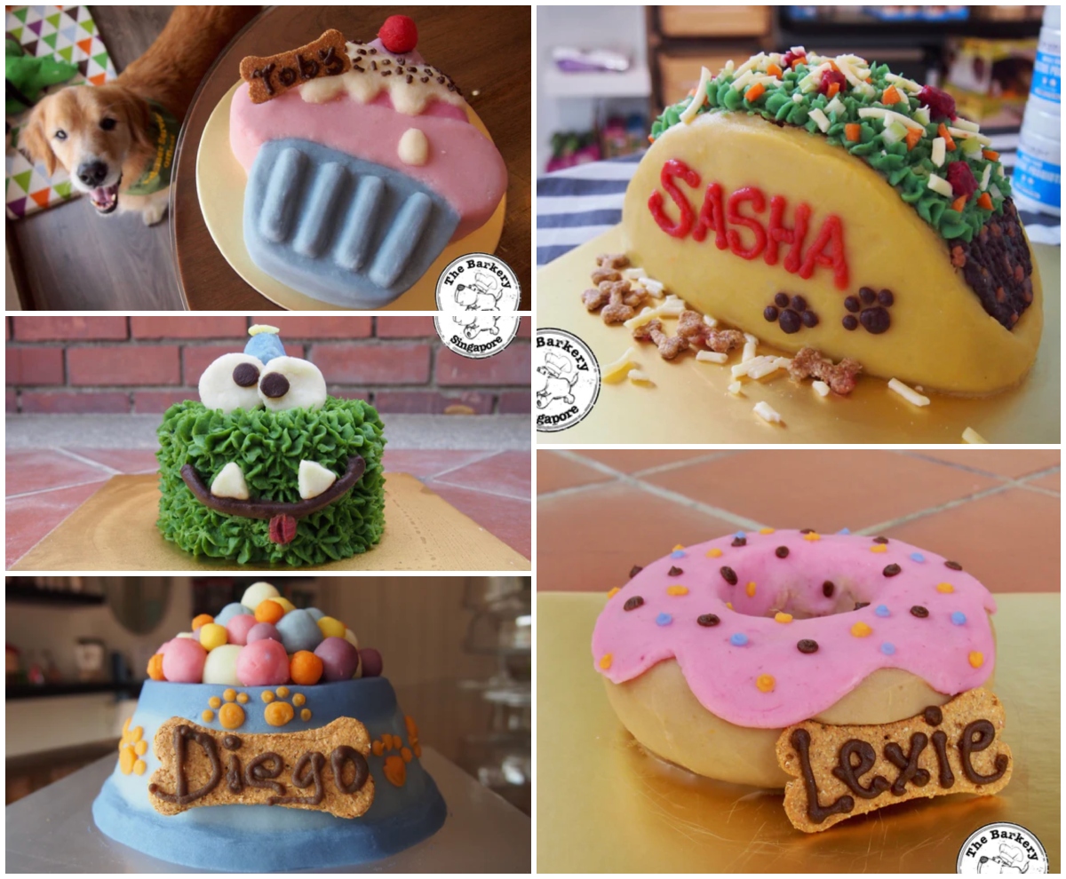 barkery-pet-birthday-cakes-singapore