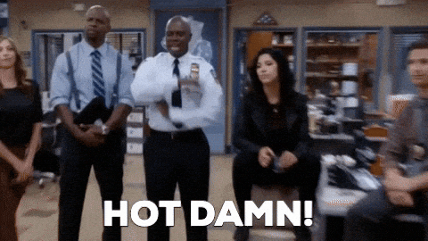 brooklyn 99 captain holt hot damn