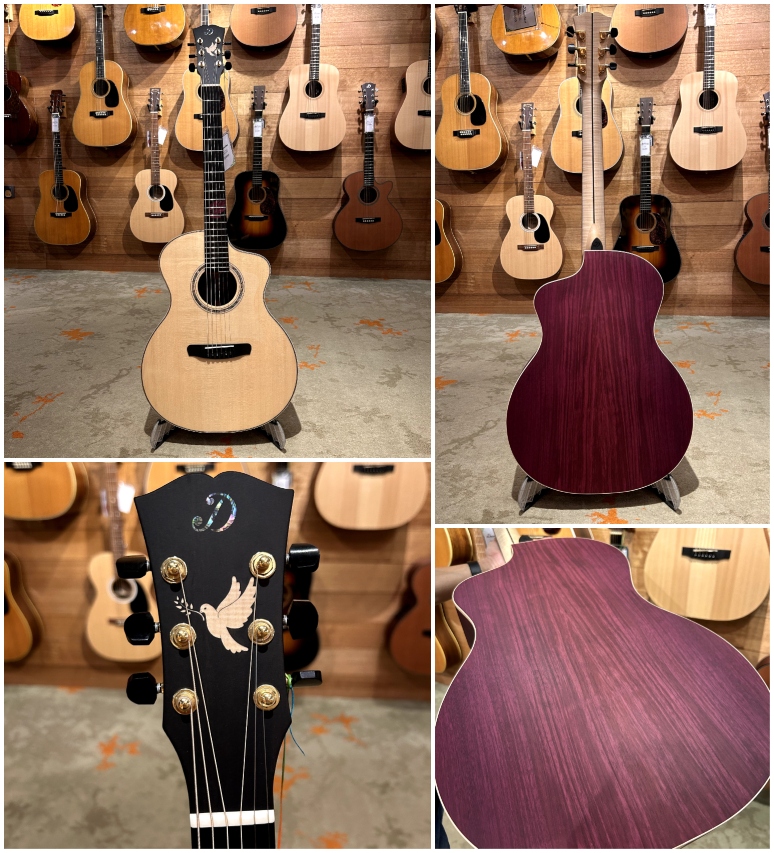 dowina-pax-in-corde-gac-ds-peace-guitar