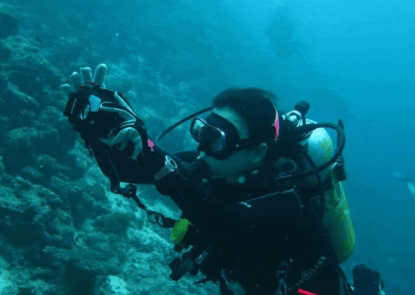 “I Wear My Rolex into the Sea”: 4 Watch Collectors on Why You Should Wear Your Luxury Watch
