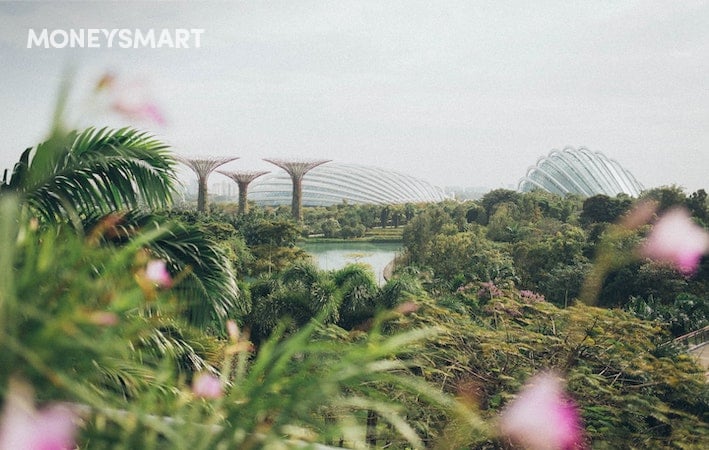 The Singapore Green Plan 2030 – What It Means for You