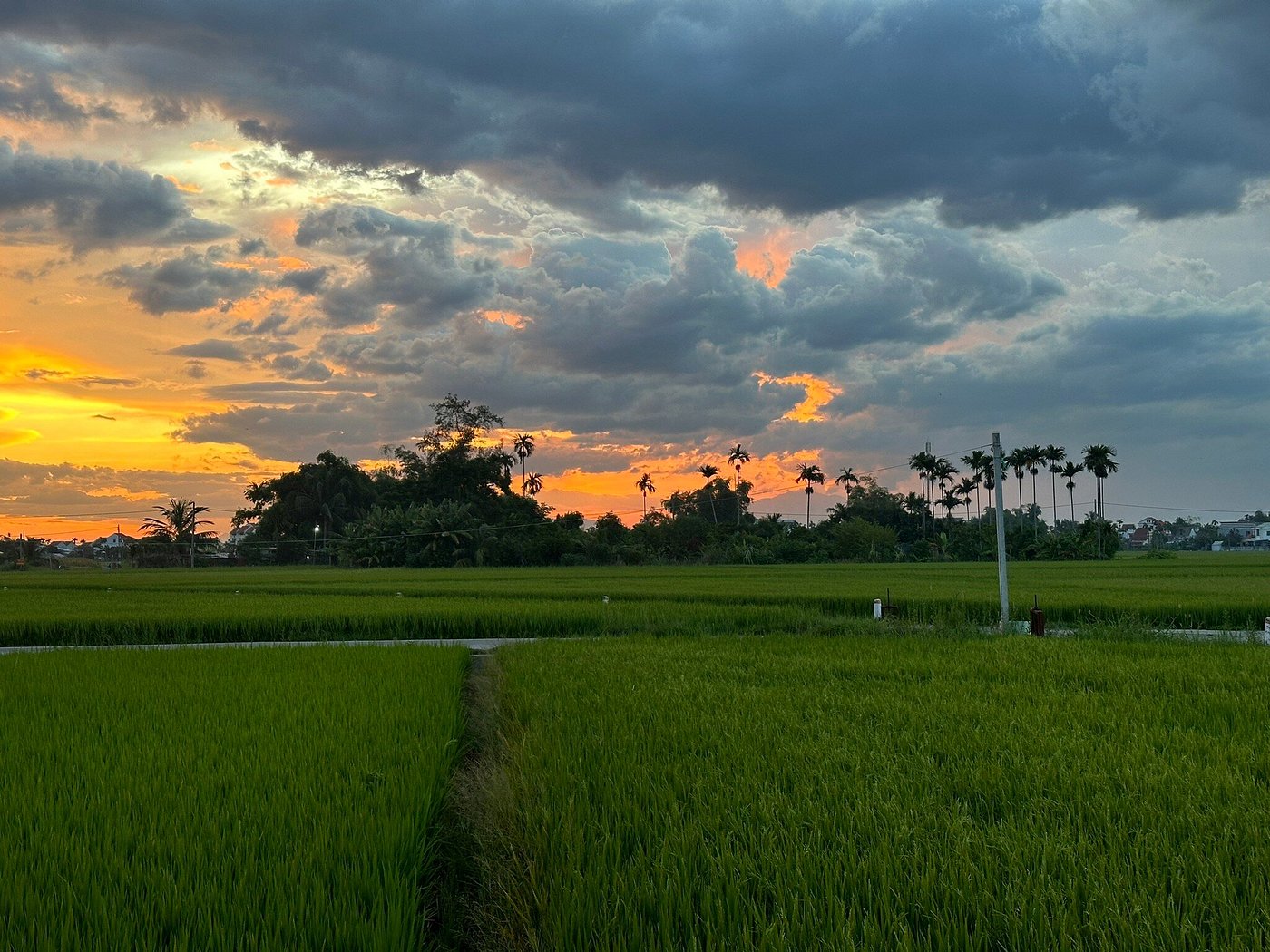 hoi an sunset