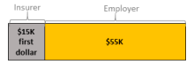 maid-insurance-copayment-current