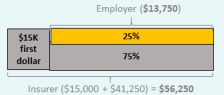 maid-insurance-copayment-enhanced