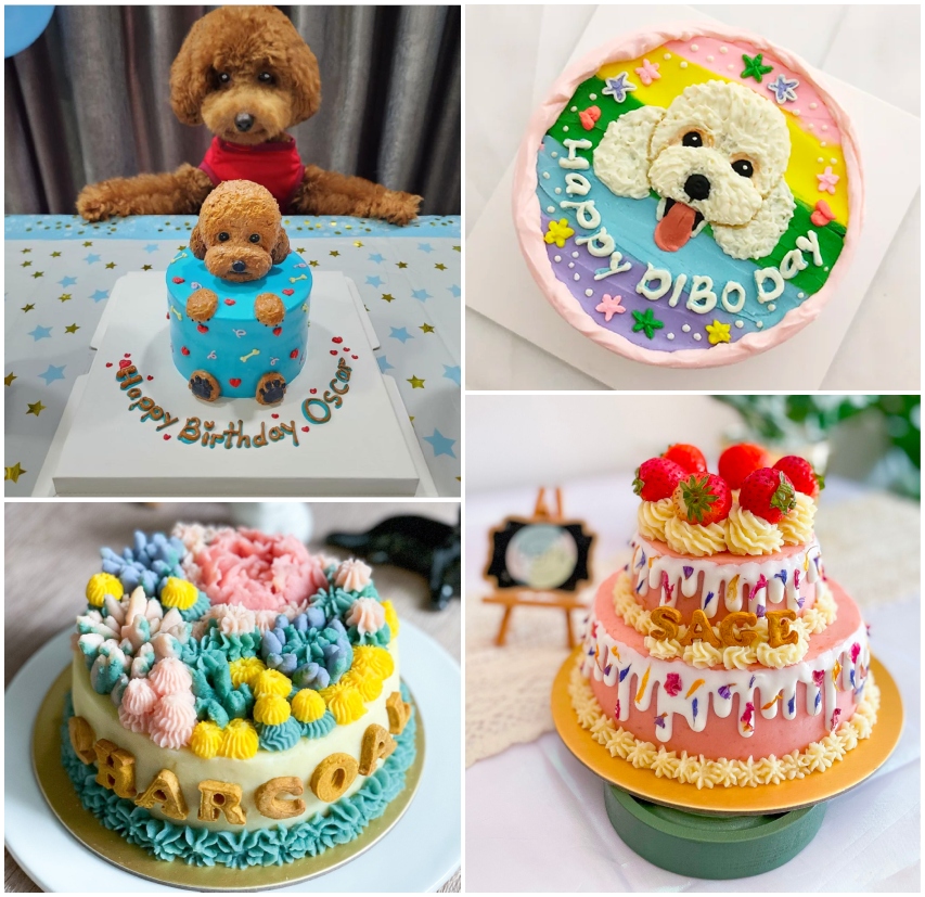pet-birthday-cakes-singapore