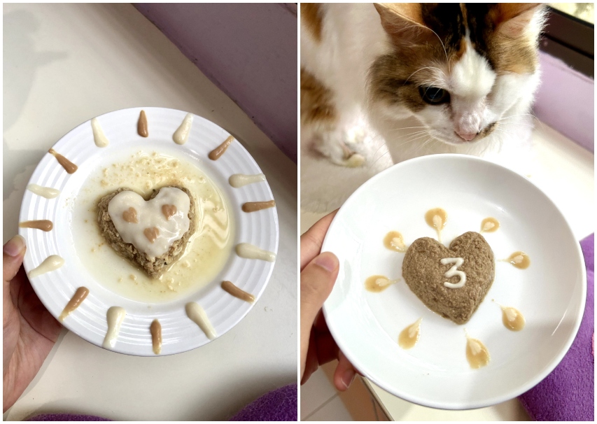 homemade-cat-birthday-cake