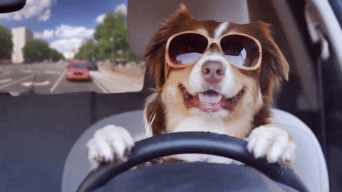 Issue #83: What's Happening This Week? Driving Lesson Surcharges, Insurance Premiums Surge, and More